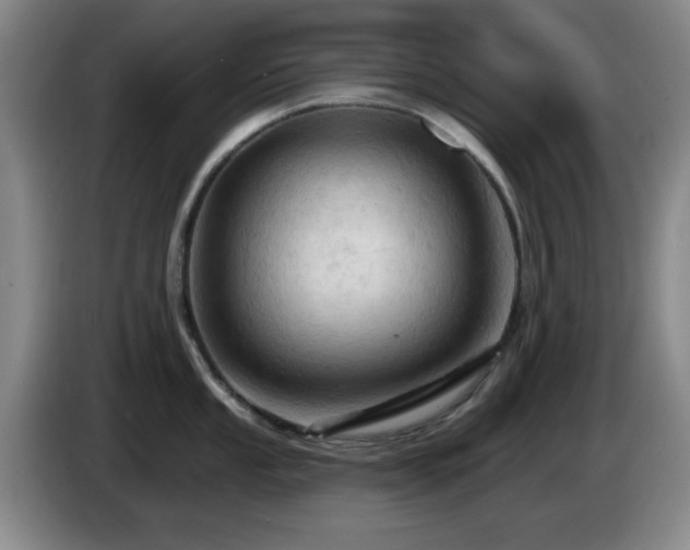 X0000085301053200703091428