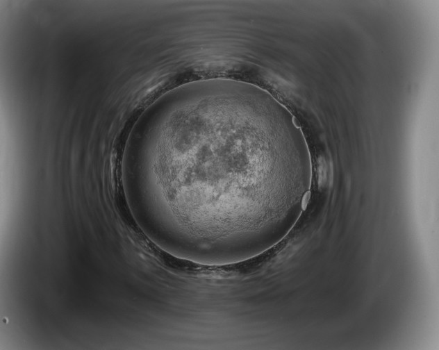 X0000085301059200703091427