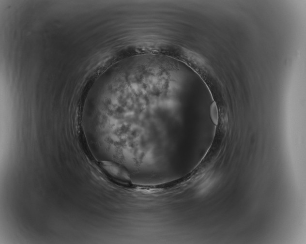 X0000085301060200703091427