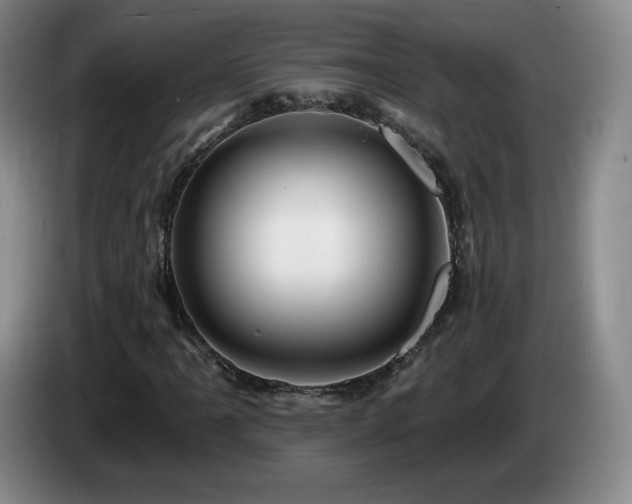 X0000085301061200703091427