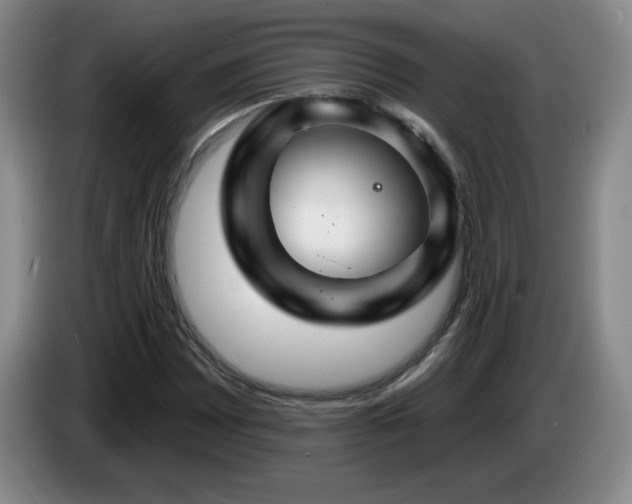 X0000085301065200703091427