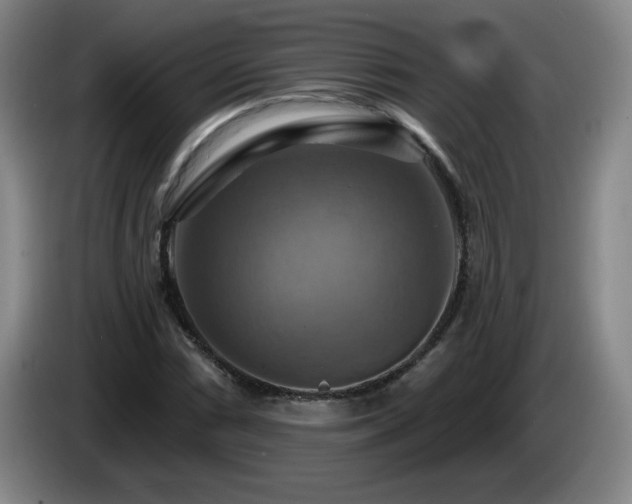 X0000085301066200703091427