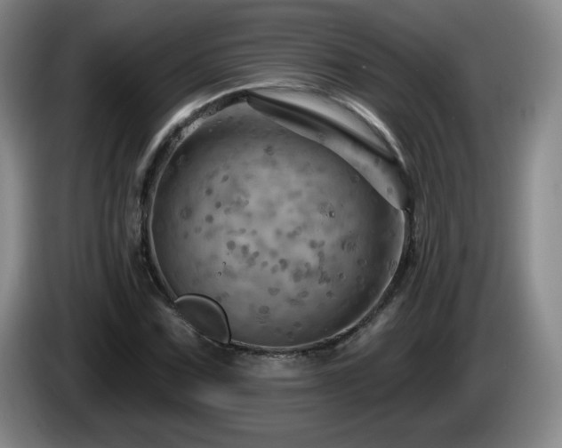 X0000085301067200703091427