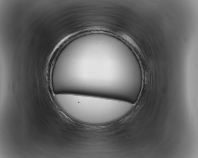 X0000085301068200703091427