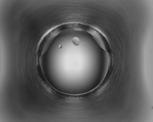 X0000085301069200703091427