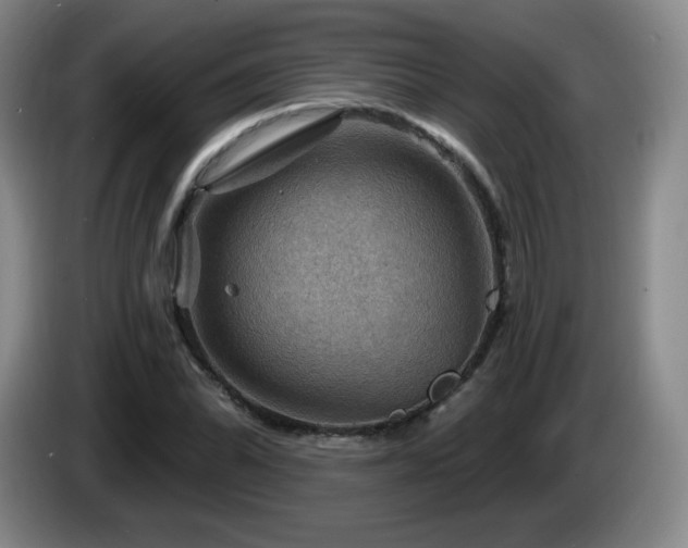 X0000085301070200703091427