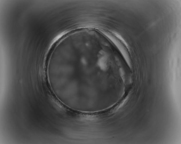 X0000085301071200703091427