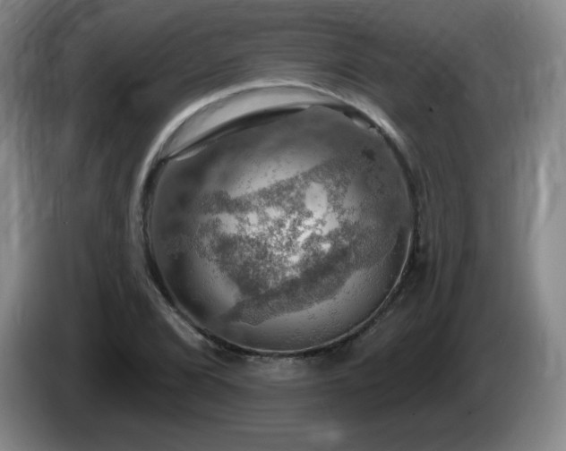 X0000085301072200703091427