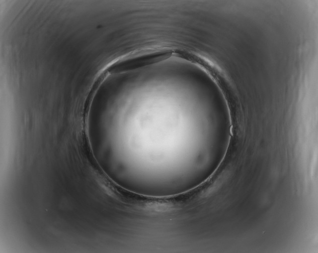 X0000085301073200703091427