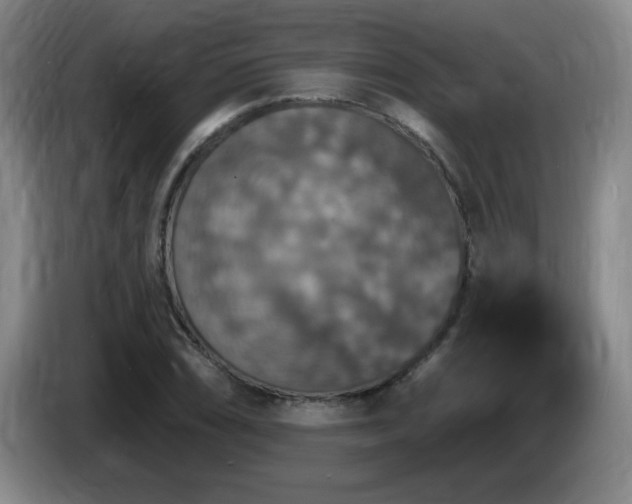 X0000085301074200703091427