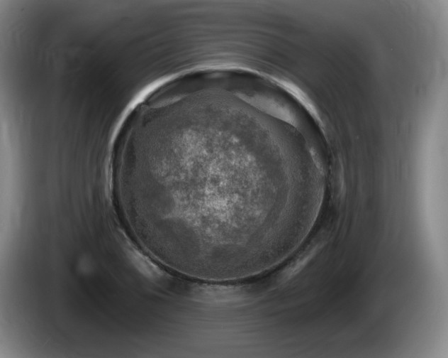 X0000085301076200703091427