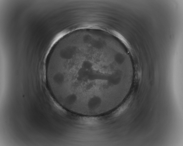 X0000085301079200703091427