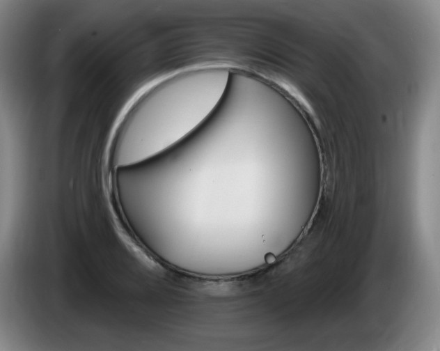 X0000085301080200703091427