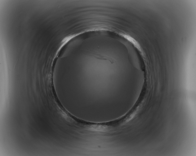 X0000085301081200703091427