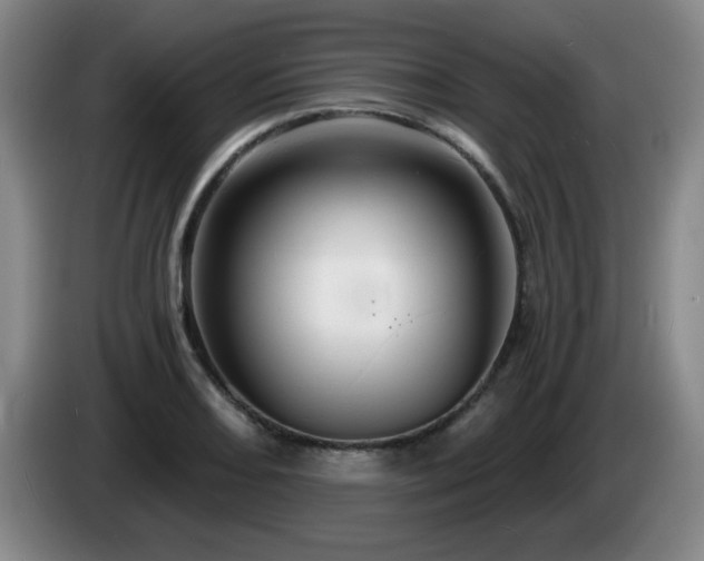 X0000085301082200703091427