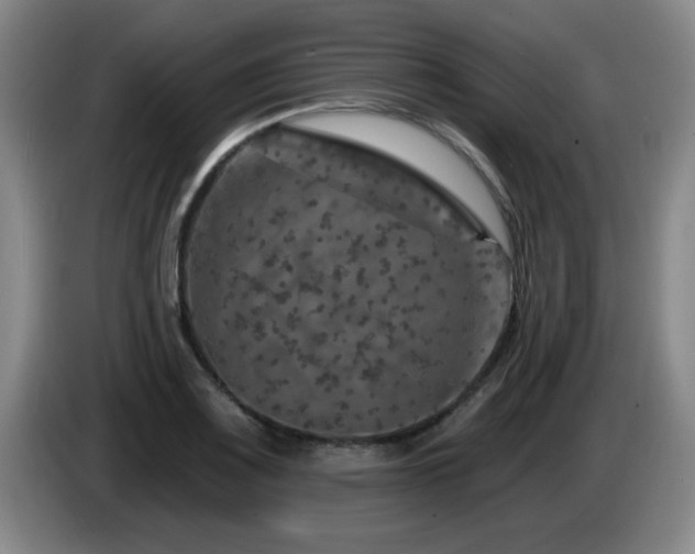 X0000085301083200703091427