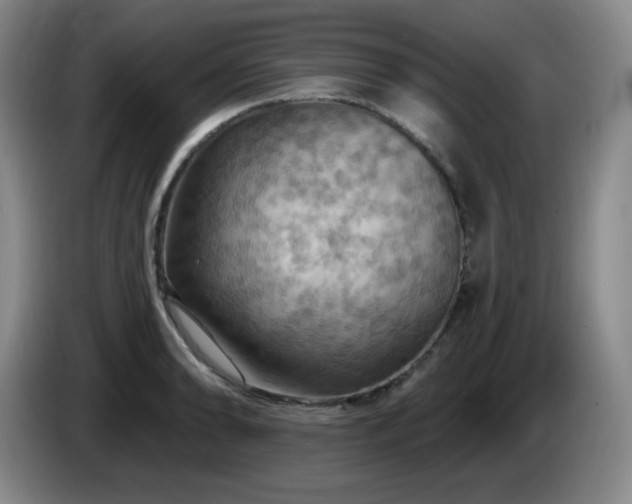 X0000085301086200703091427