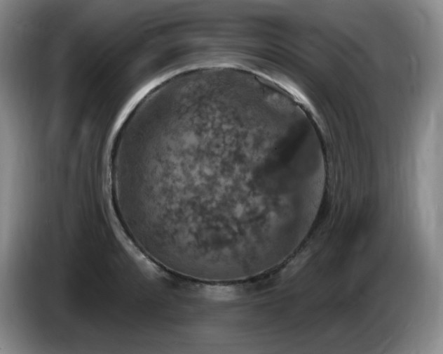 X0000085301088200703091427