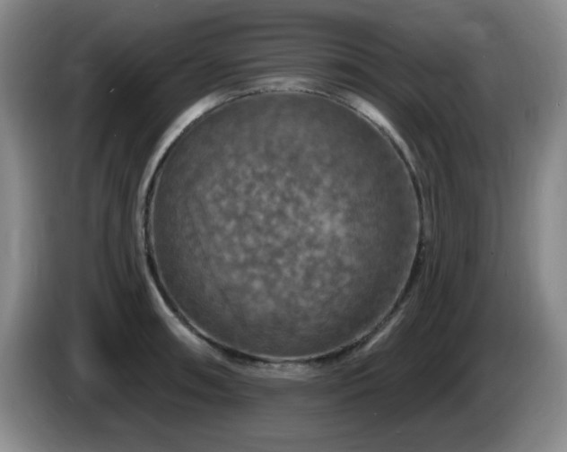 X0000085301090200703091427