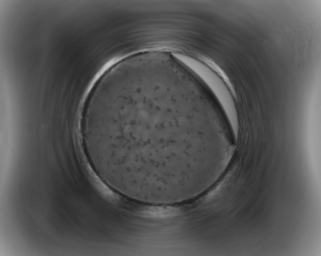 X0000085301091200703091427