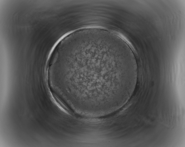 X0000085301092200703091426