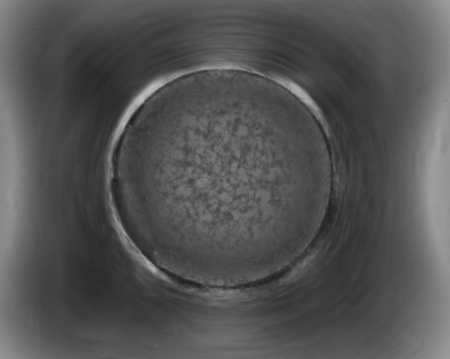 X0000085301096200703091426