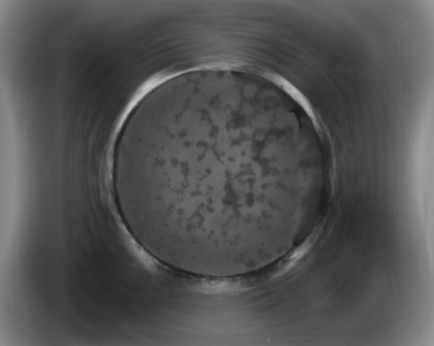 X0000085301099200703091426