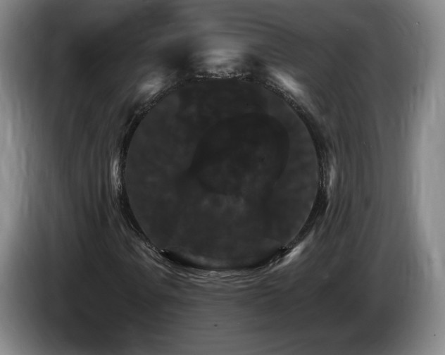 X0000085301106200703091426