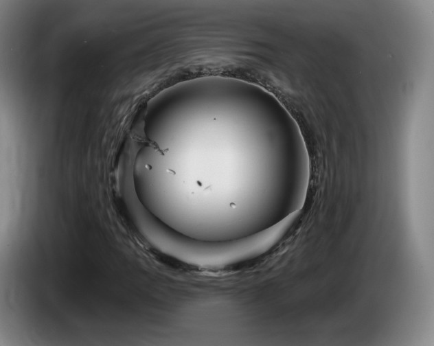 X0000085301109200703091426