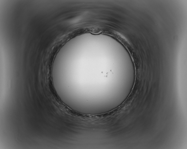 X0000085301111200703091426