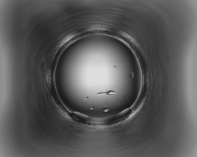 X0000085301113200703091426