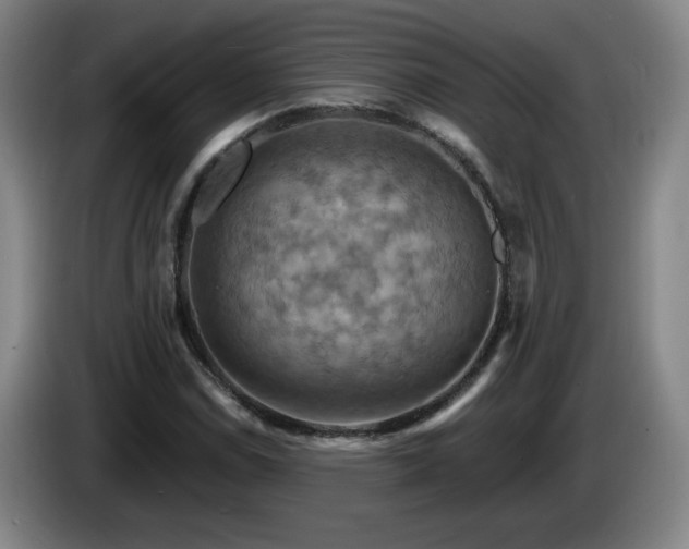 X0000085301114200703091426