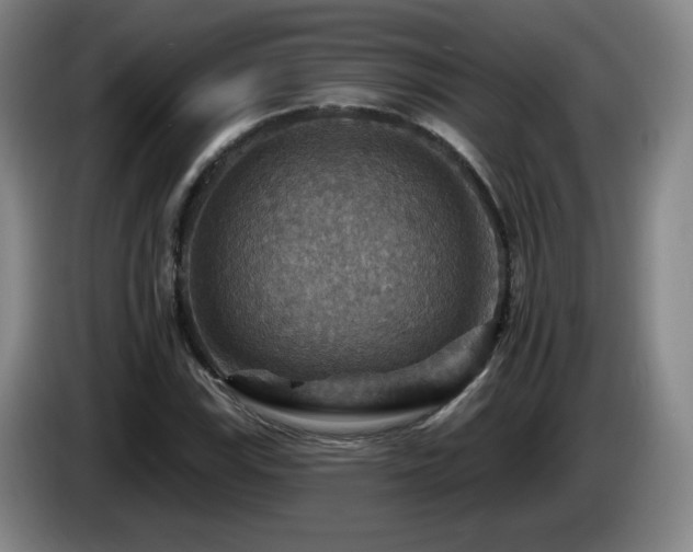 X0000085301115200703091426