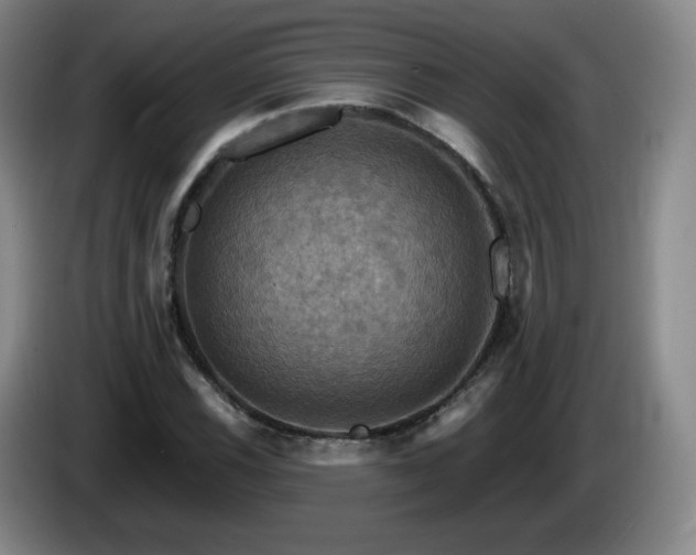 X0000085301116200703091426