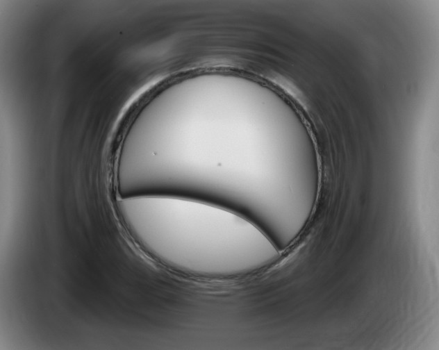 X0000085301119200703091426