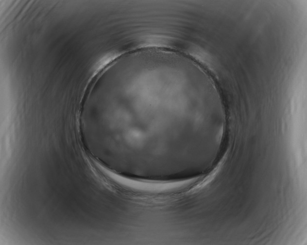 X0000085301121200703091426