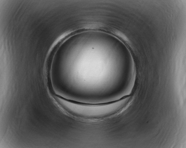 X0000085301122200703091426