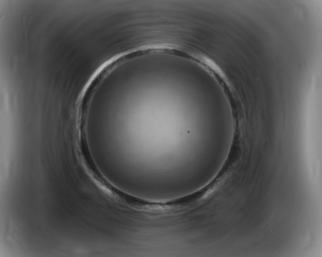 X0000085301124200703091426