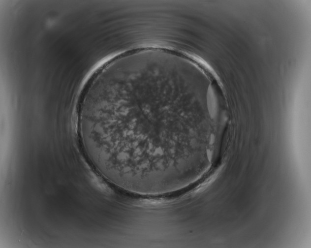 X0000085301125200703091426