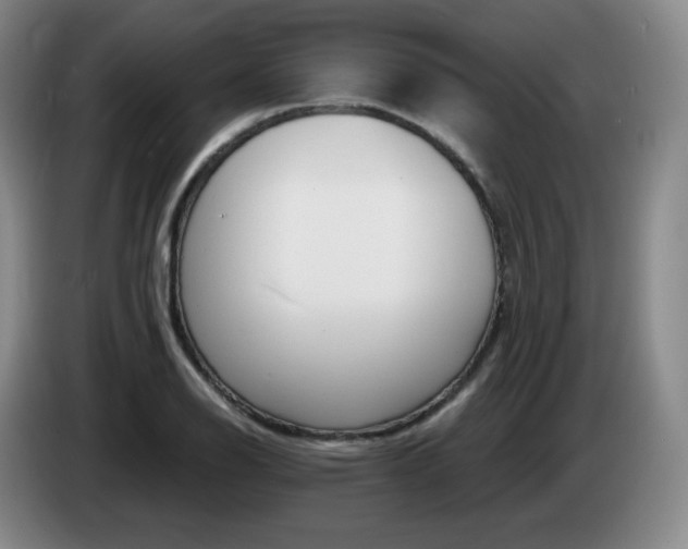 X0000085301126200703091426