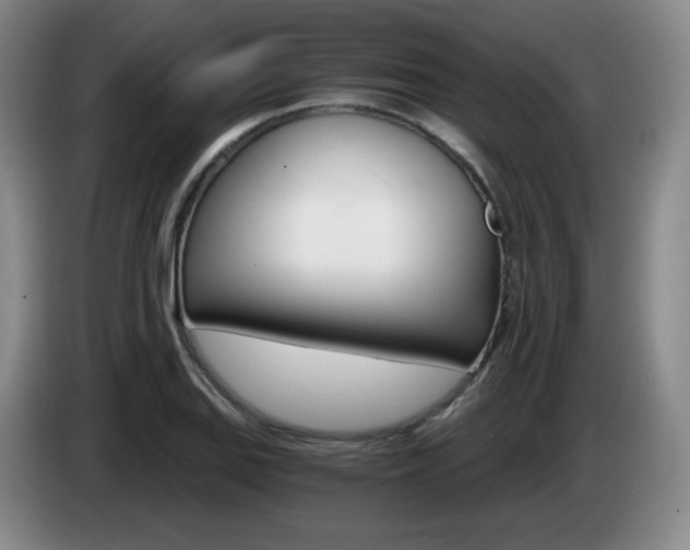 X0000085301127200703091426