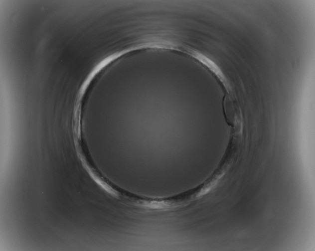 X0000085301128200703091426