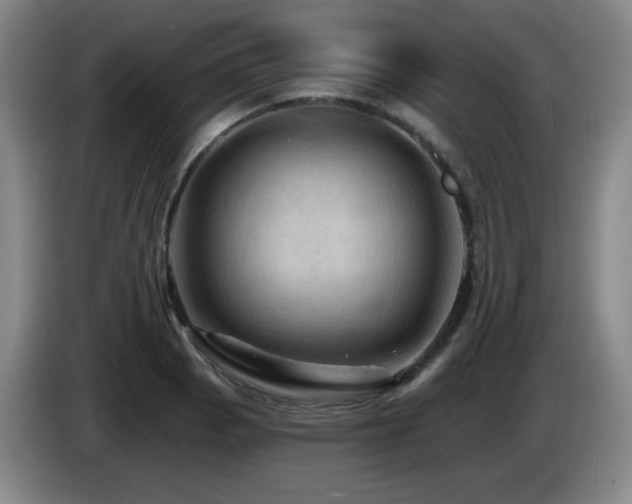 X0000085301129200703091426