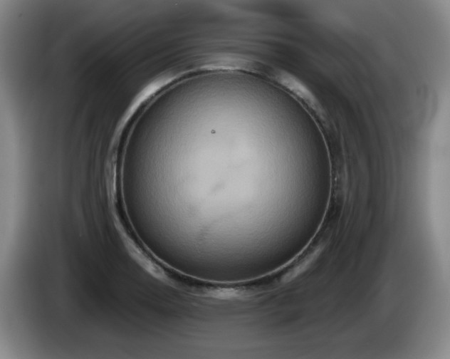 X0000085301130200703091426