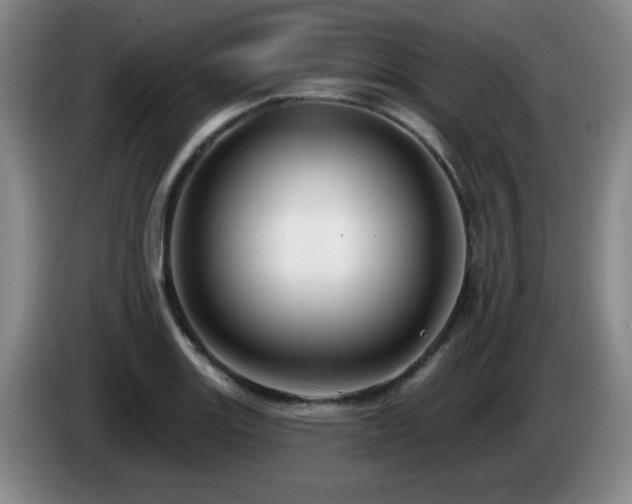 X0000085301131200703091426