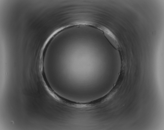 X0000085301132200703091426