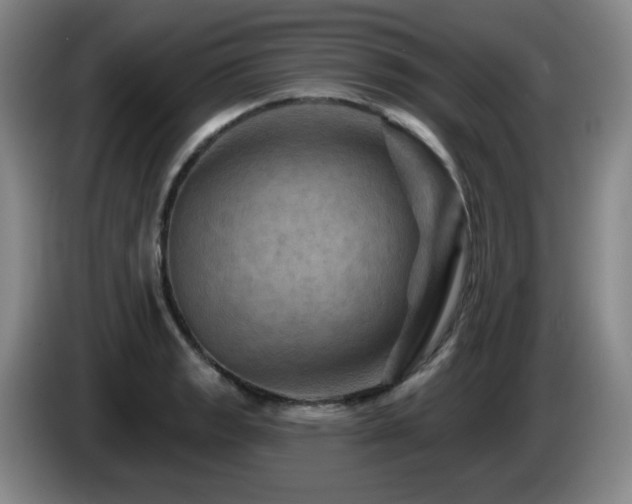 X0000085301133200703091426