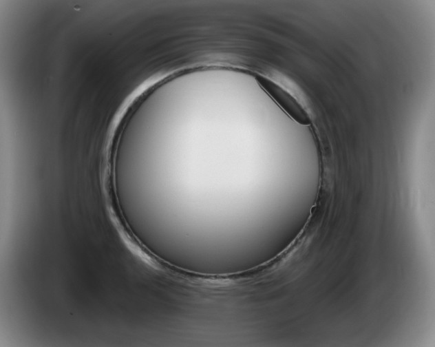 X0000085301136200703091426