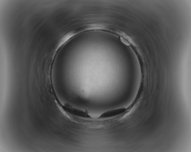 X0000085301137200703091426