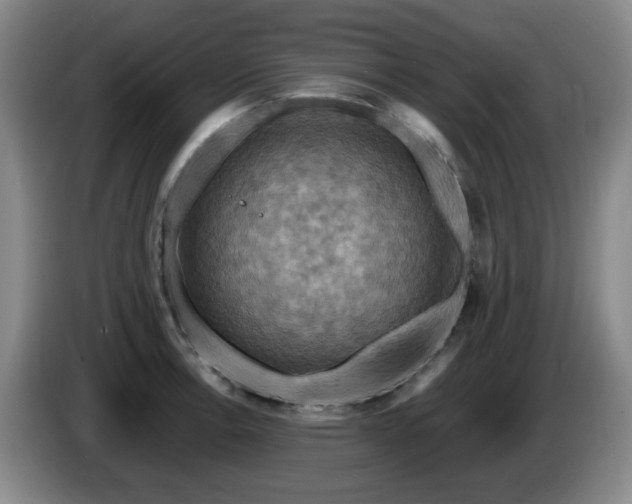 X0000085301138200703091426